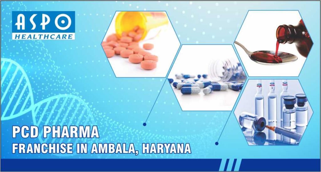 PCD Pharma Franchise In Ambala